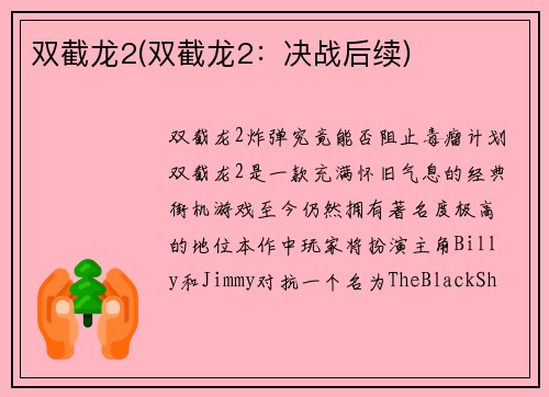 双截龙2(双截龙2：决战后续)